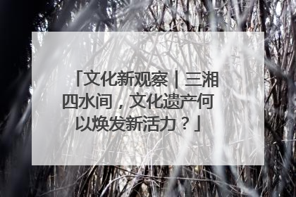 文化新观察｜三湘四水间，文化遗产何以焕发新活力？